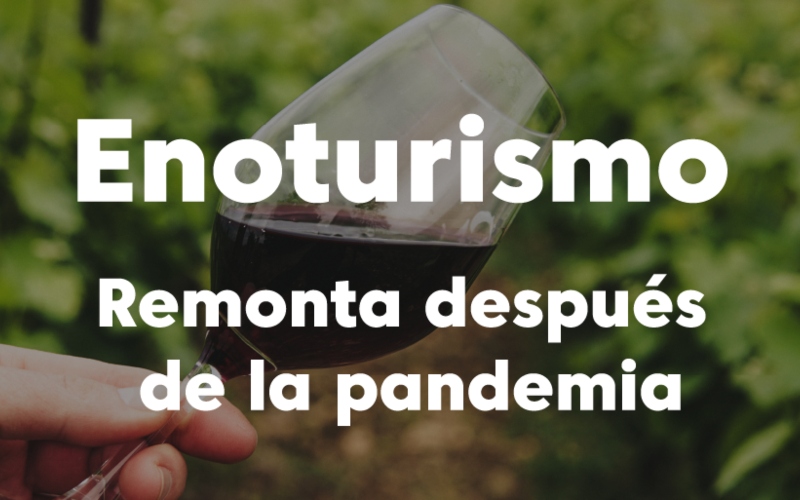 El enoturismo vuelve a estar en auge tras la pandemia