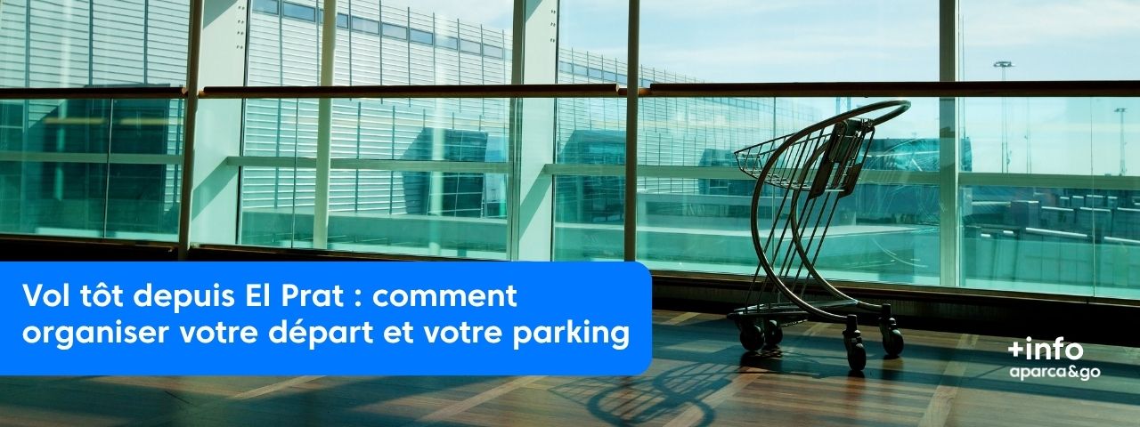Vuelo_temprano_en_el_prat_FR